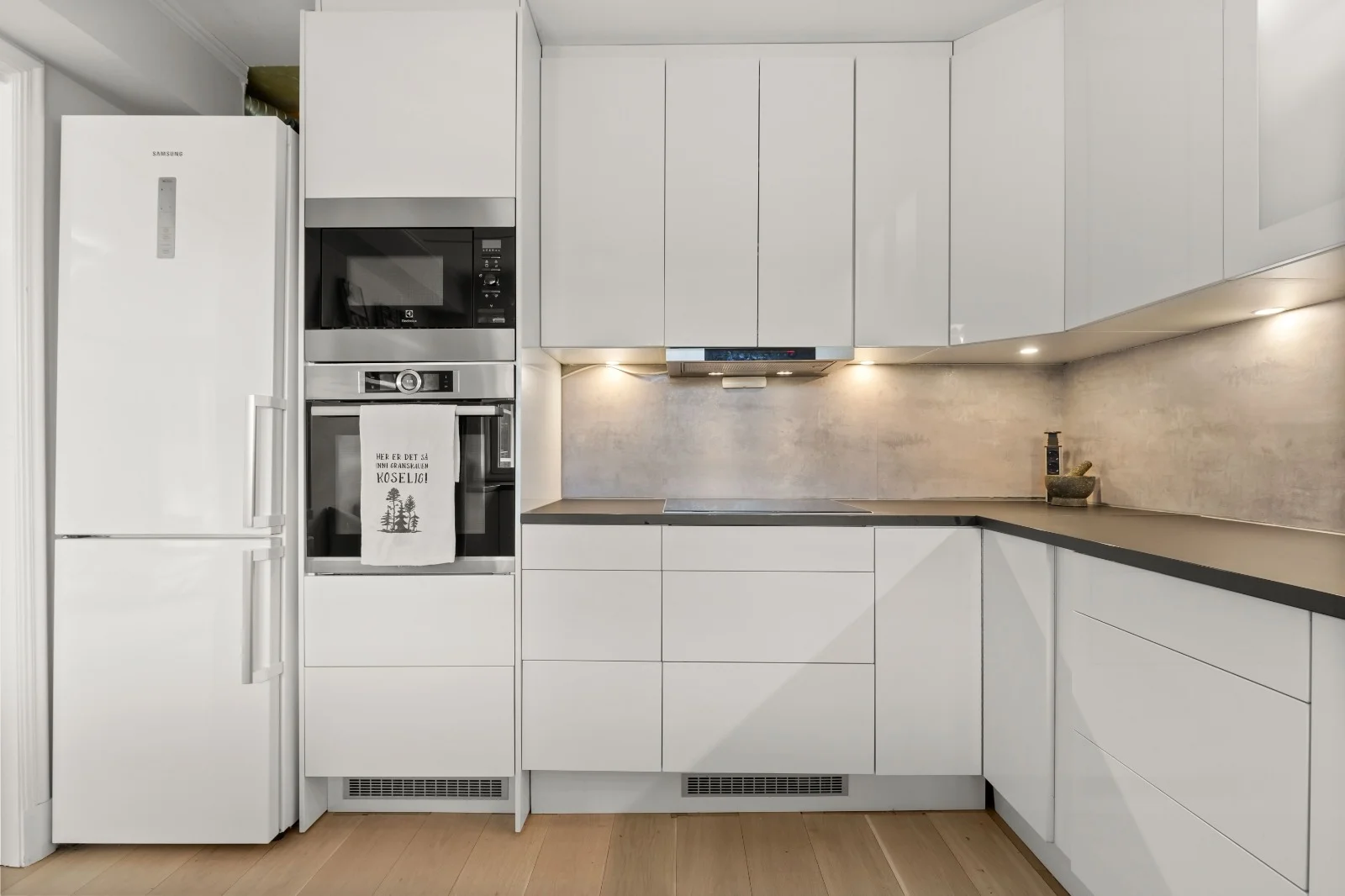 Modern modular kitchen